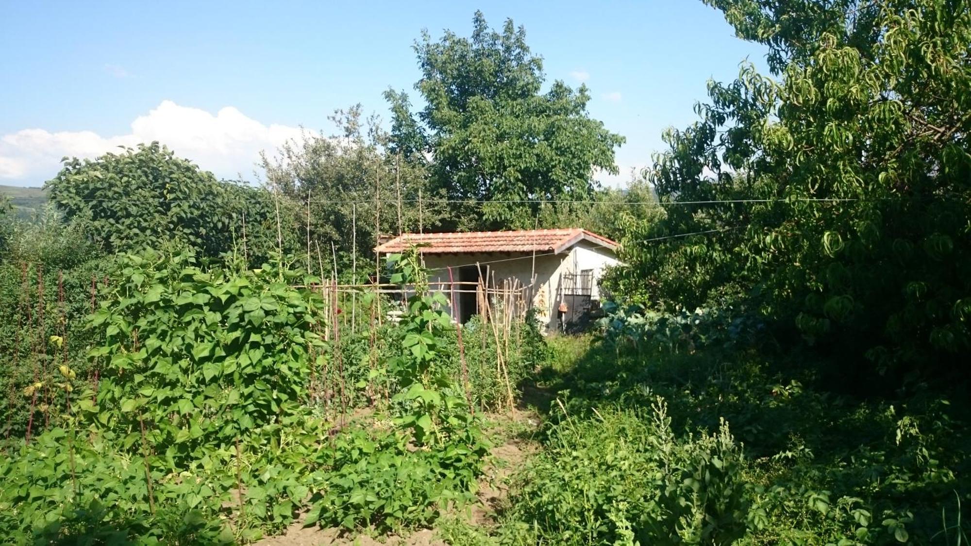 Casa Miraxures Con Vistas A La Sierra Del Xures Guest House Ourense Exterior photo